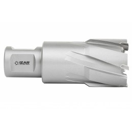 Fresa in Metallo Duro...